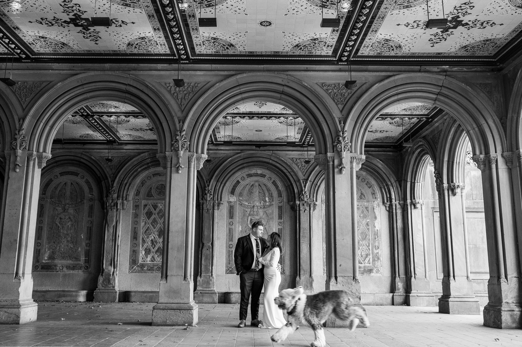 Black and white image of couple under the Bethesda Terrace in NYC with a dog running by
