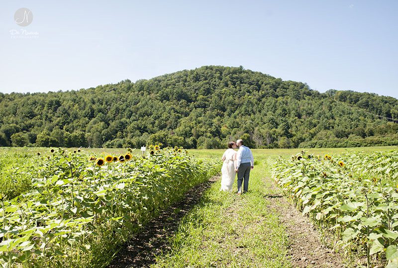 Sunflower Farm Wedding Vermont