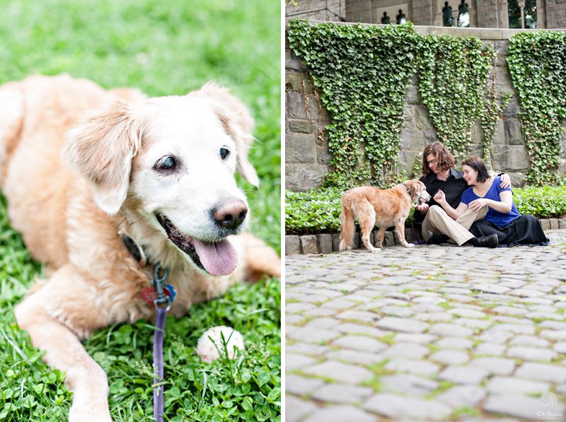 Engagement Photos with Pets 