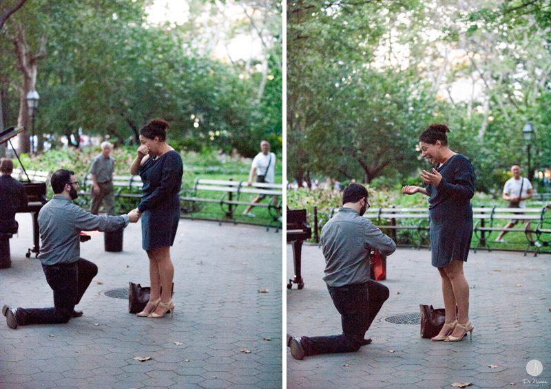 Propose in NYC 