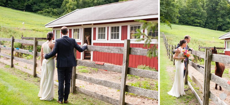 10 Llama Farm Wedding Vermont