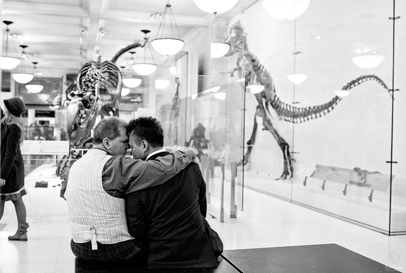 Engagement Photos Natural History Museum