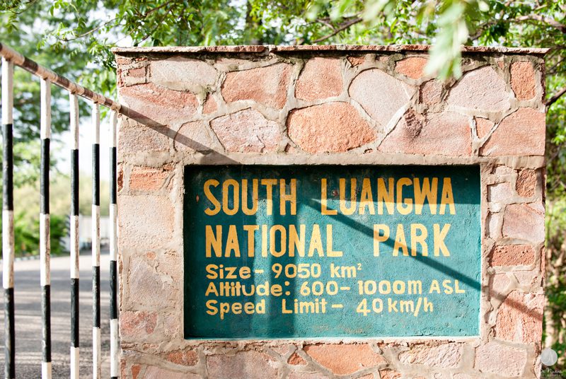 South Luangwa National Park 