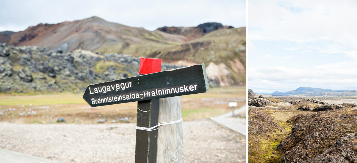 Laugavegur Trek Iceland