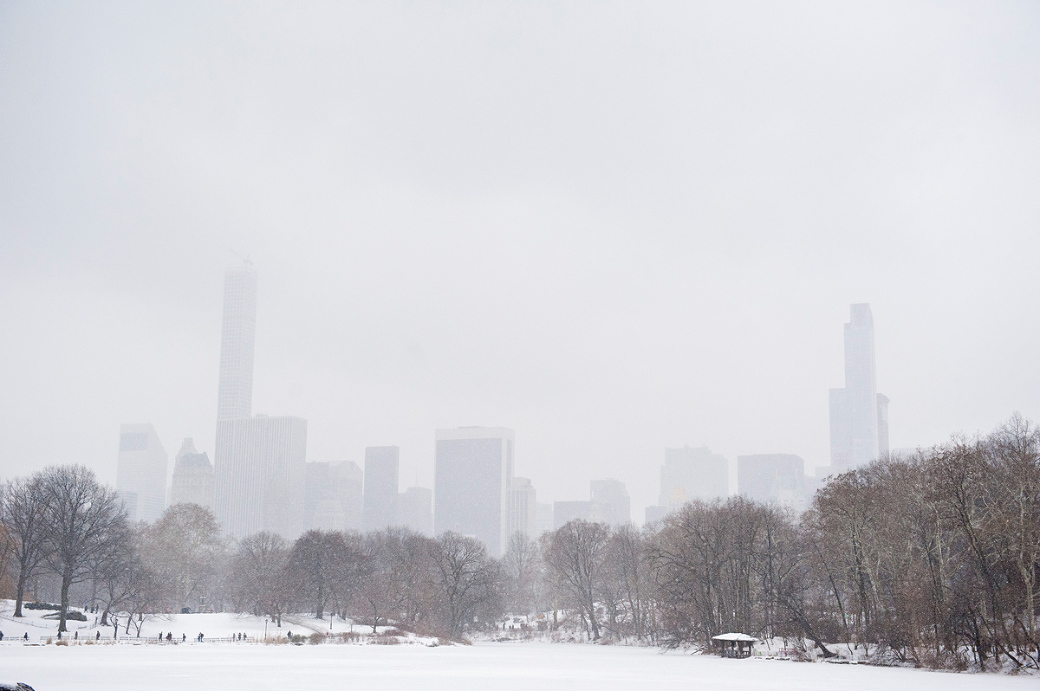 Winter Central Park 