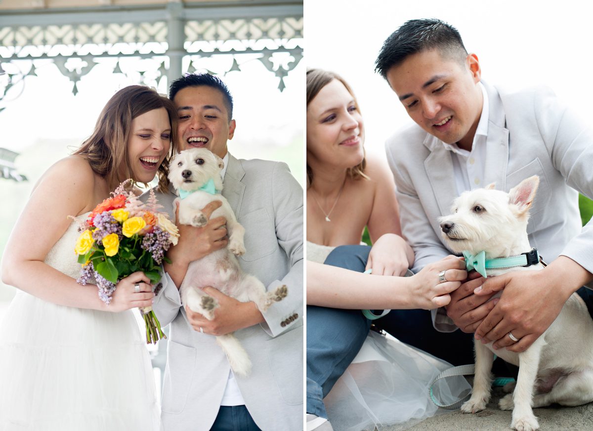 Weddings with Pets