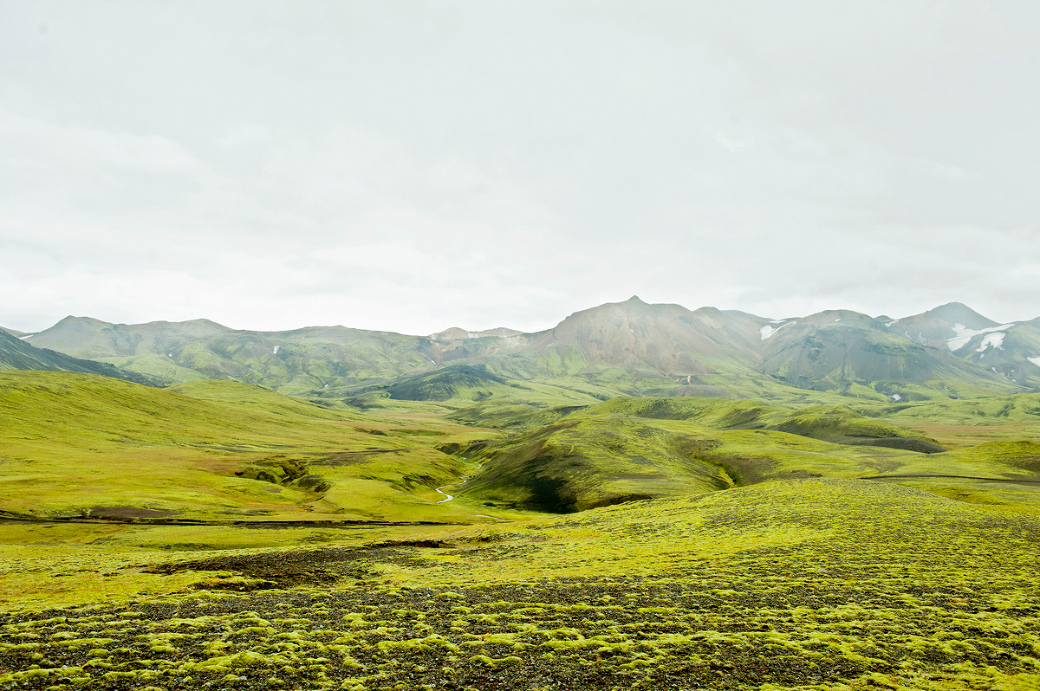 Iceland Wedding Photographer