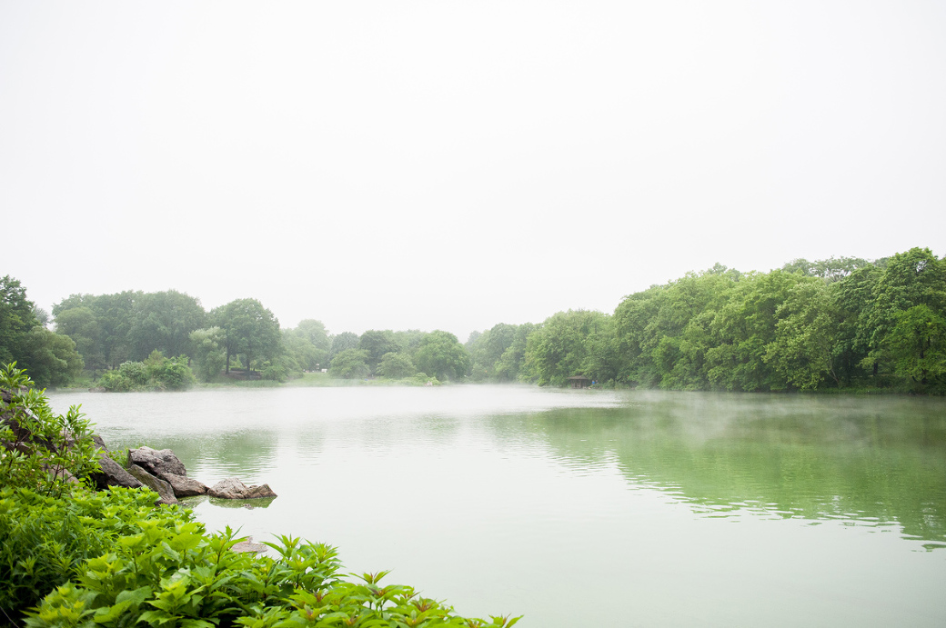 Central Park Wedding