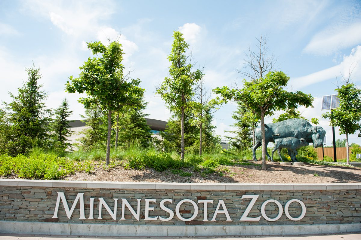016-Minnesota-Zoo-Wedding