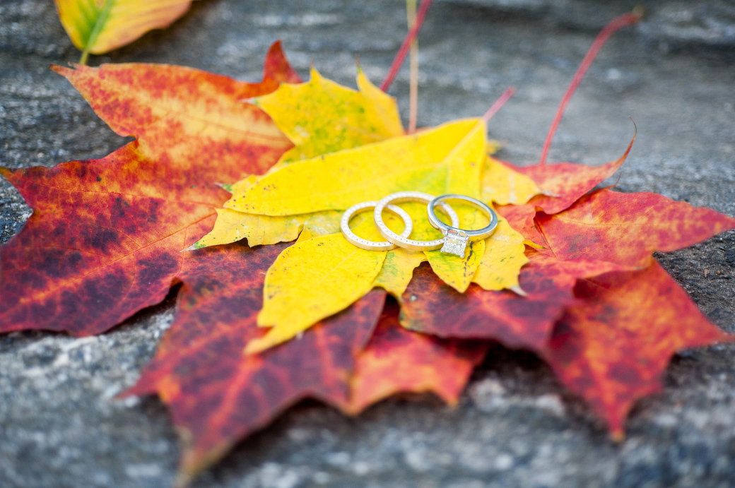 Fall Wedding Photos