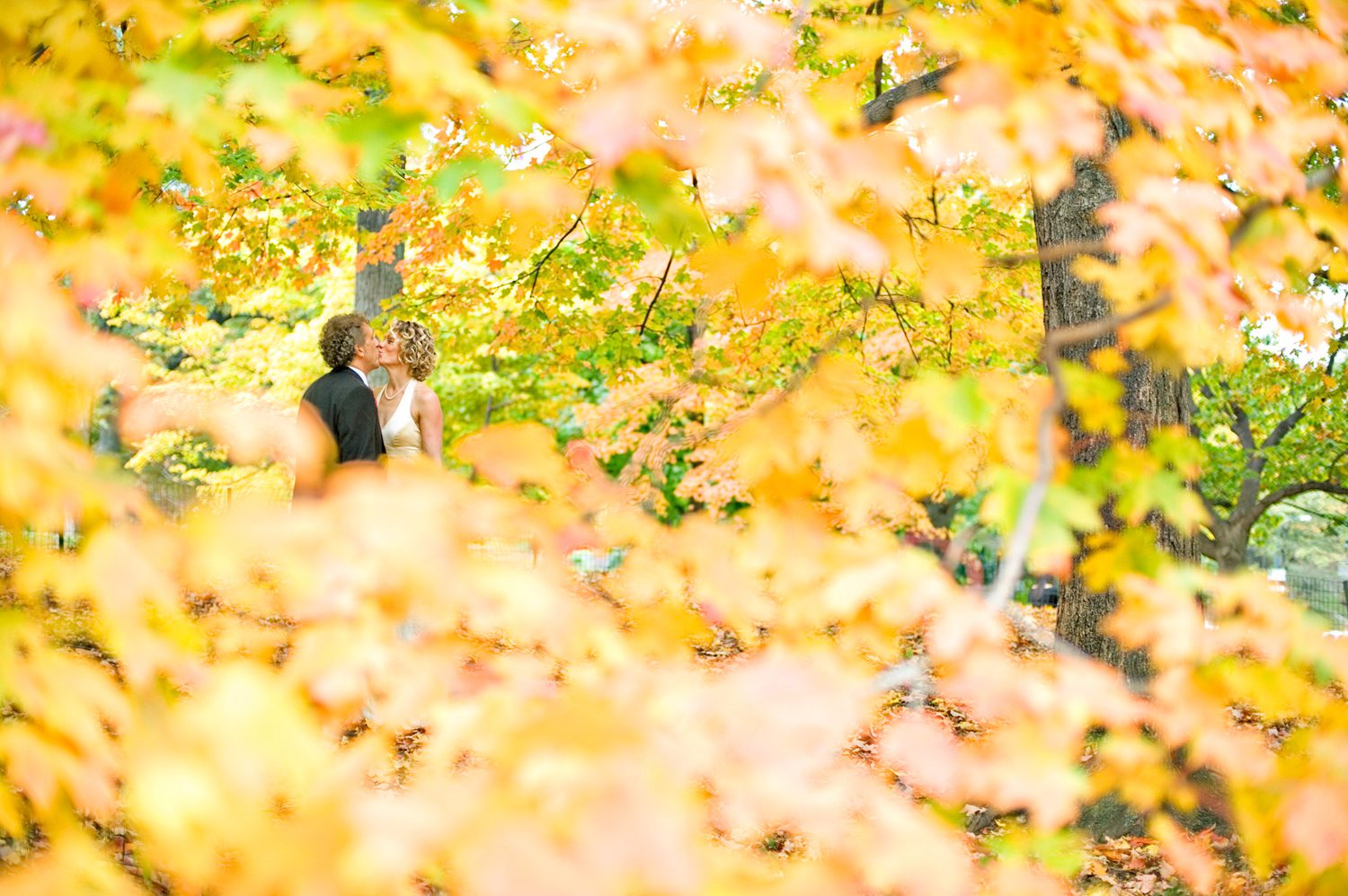 Fall Elopement in New York