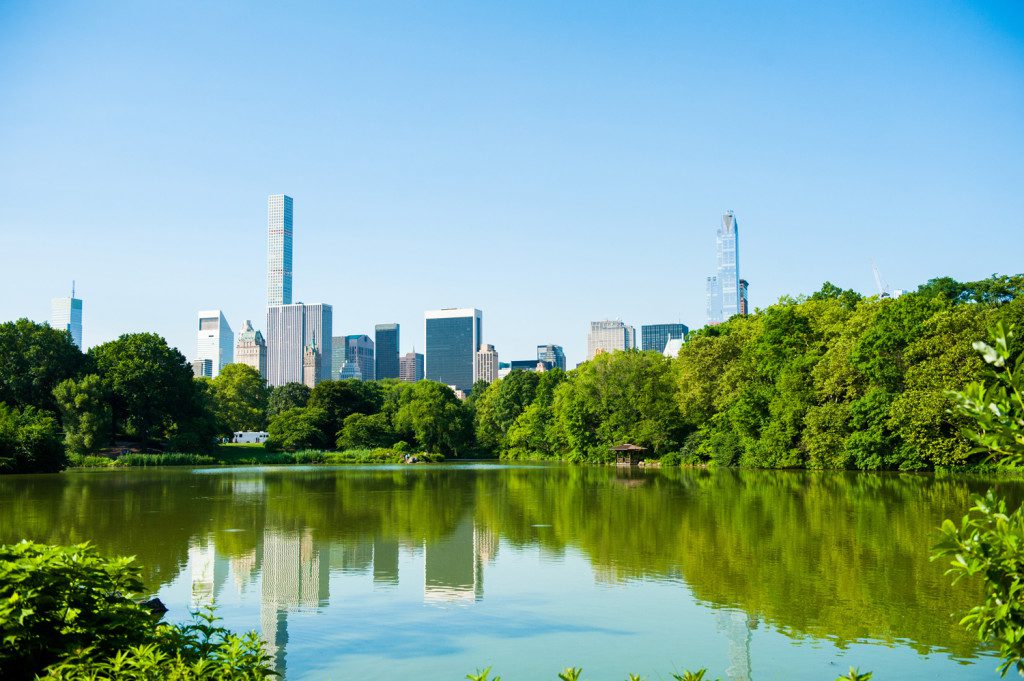Best Views of the Skyline in Central Park