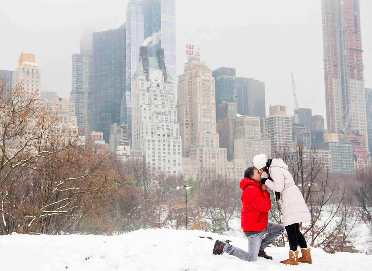 Snowy Central Park Proposal 