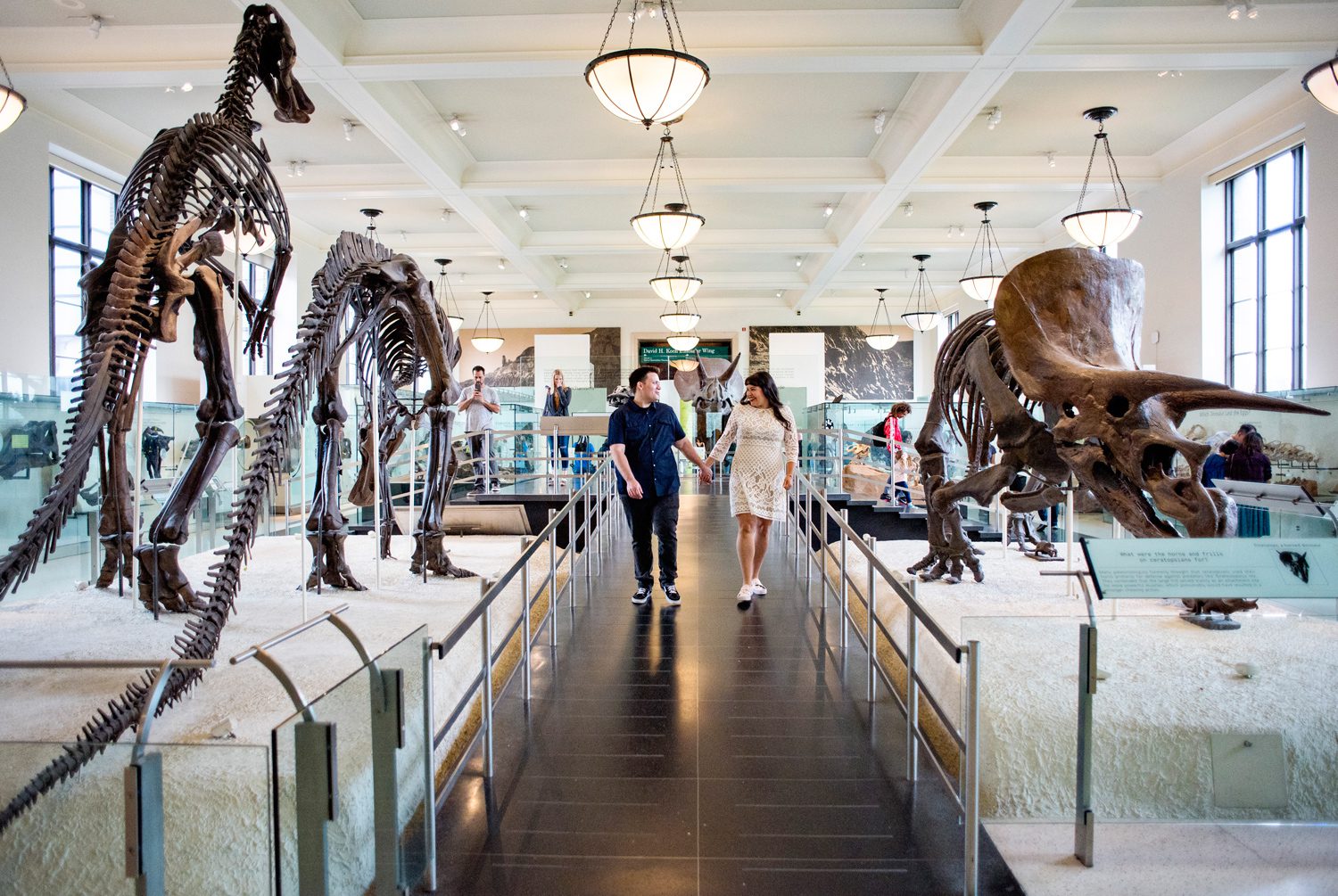 Museum of Natural History Engagement Photos