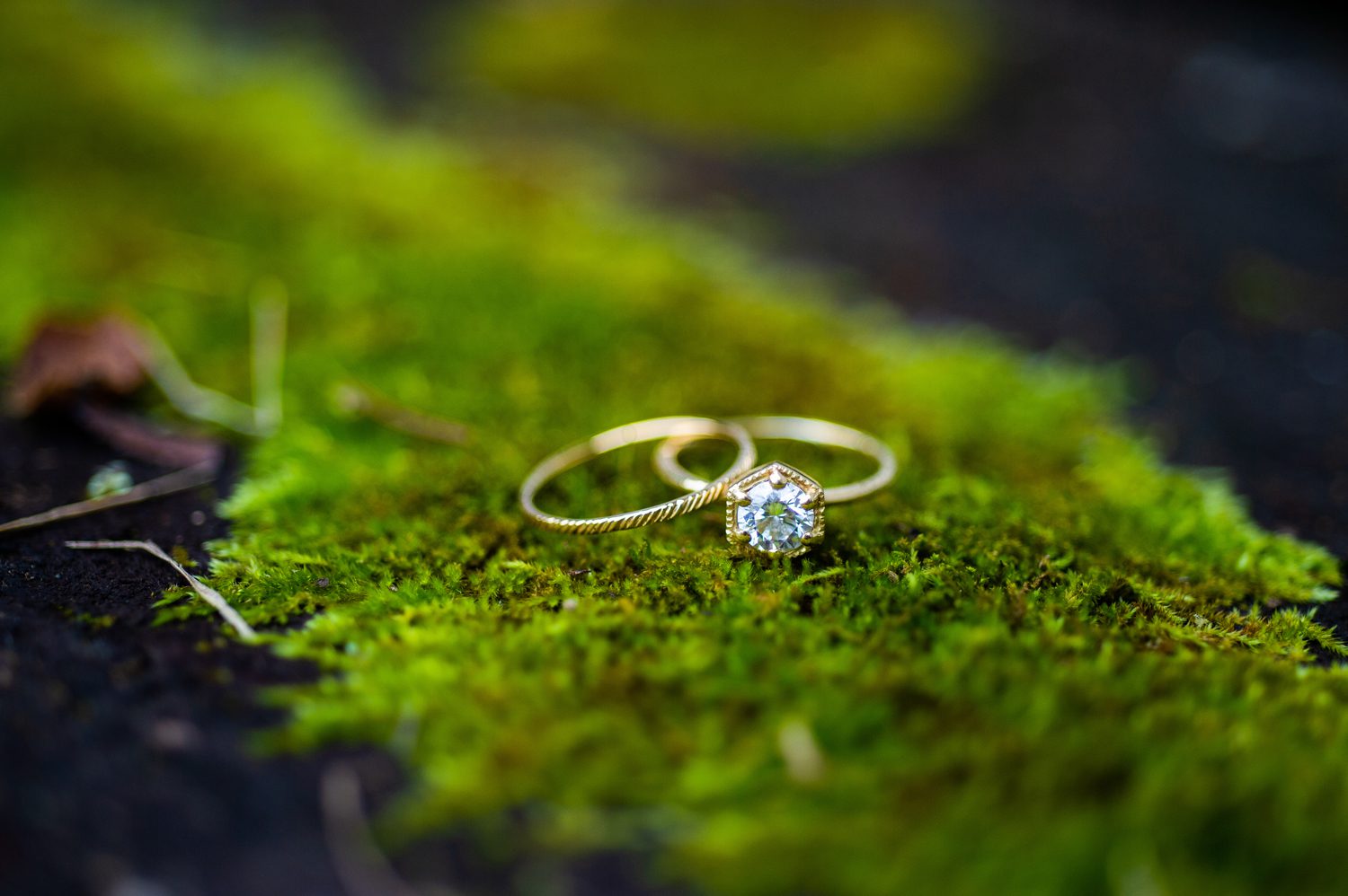 Wedding Rings on Moss