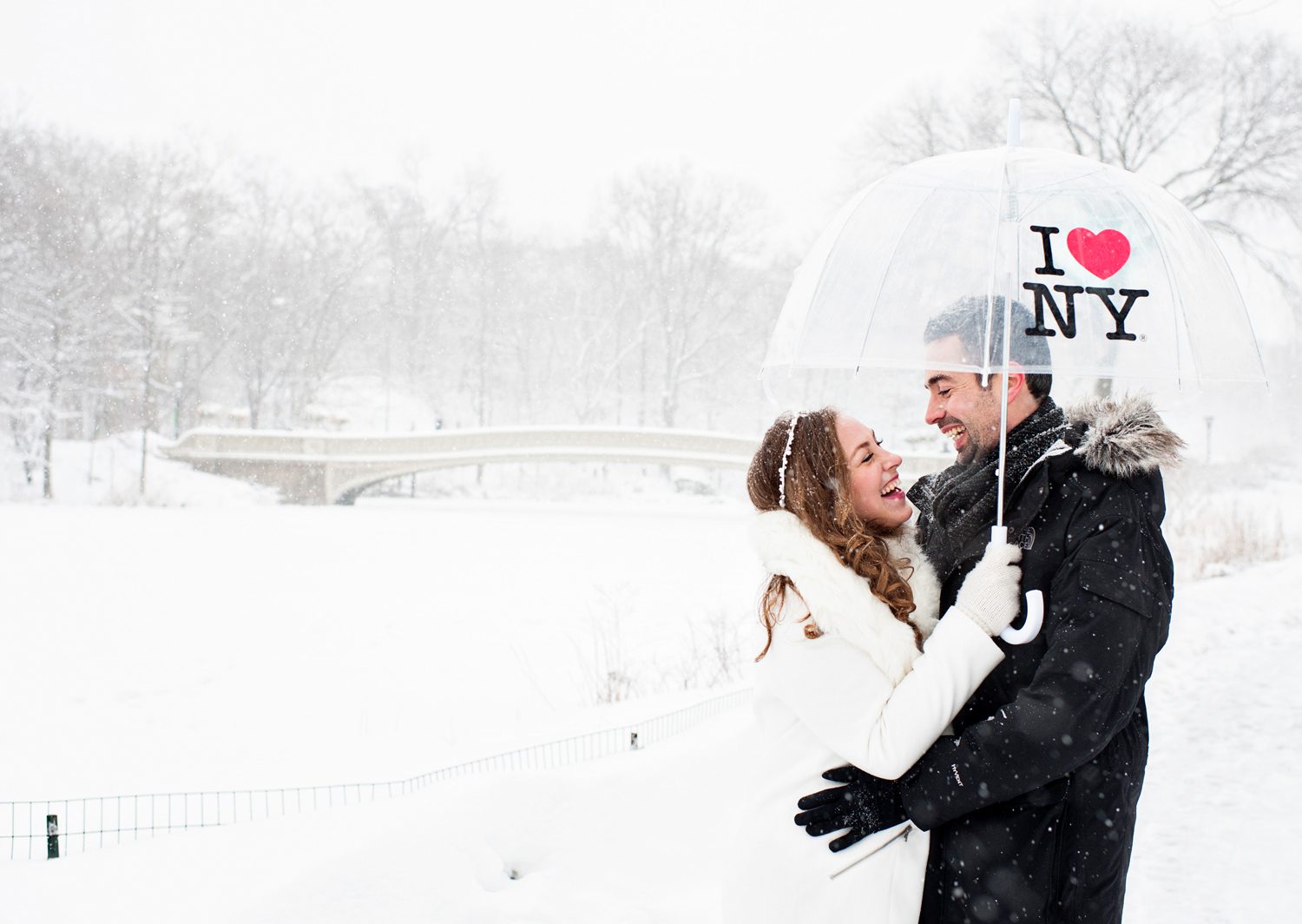 Blizzard Wedding in Central Park 