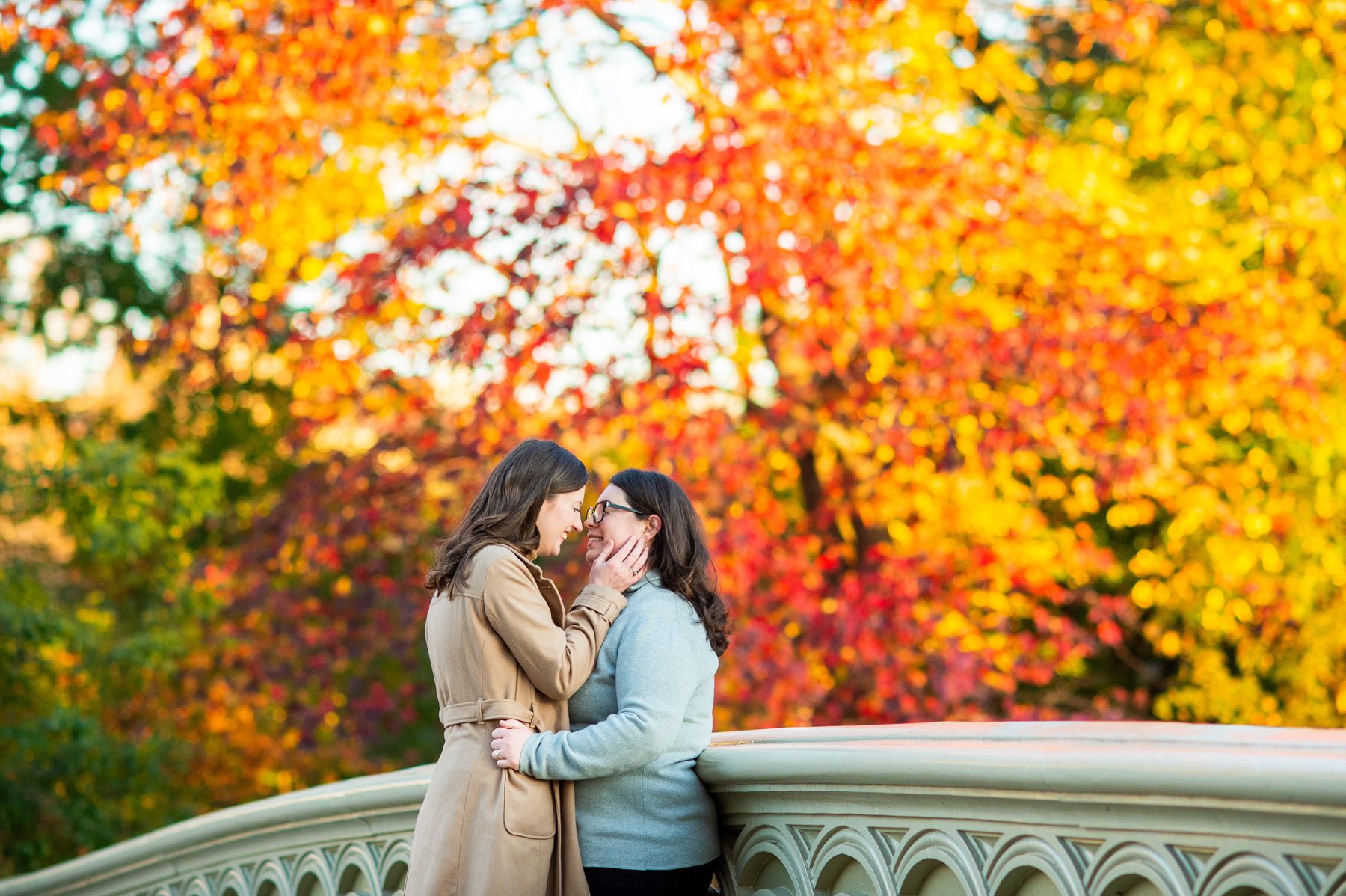 Fall Engagement in Central Park Bow Bridge 