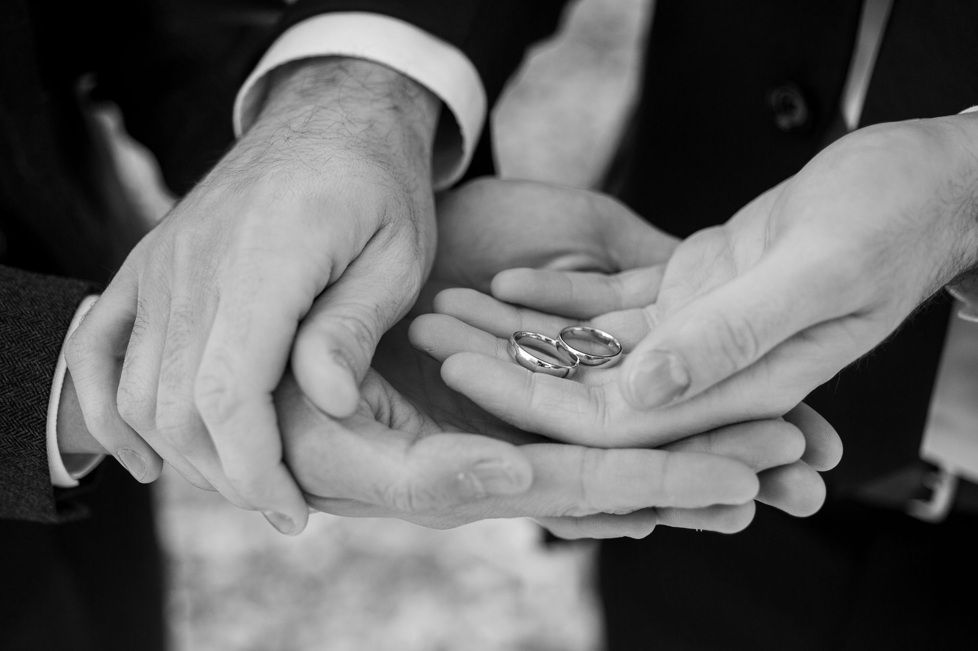 Hand and Wedding Rings LGBTQ 