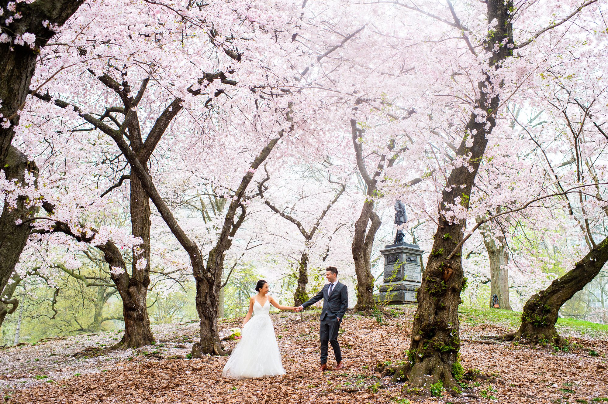 Cherry Blossom Elopement in Central Park 