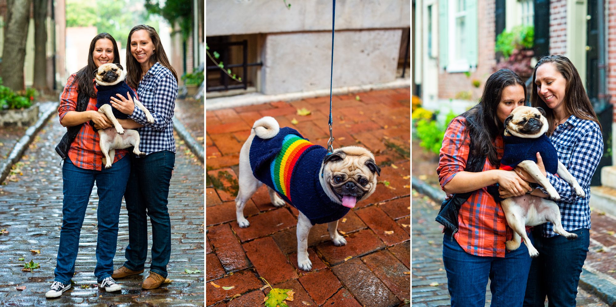 Engagement Photos with Pug