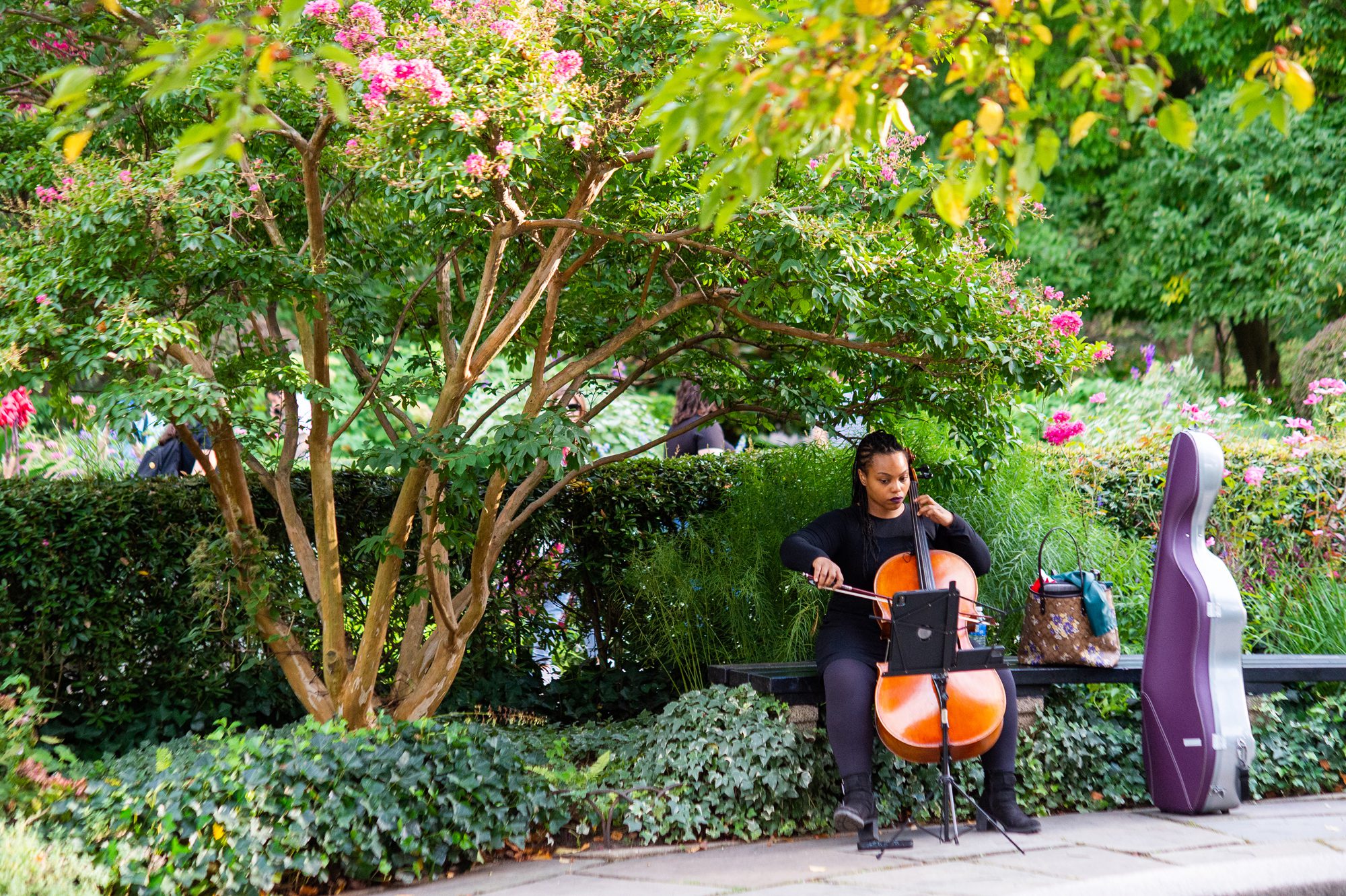 Violinist at Central Park Wedding