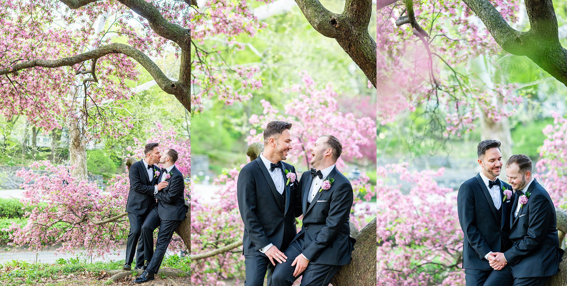NYC Elopement photos of two grooms in tuxes with cherry blossoms in Central Park 