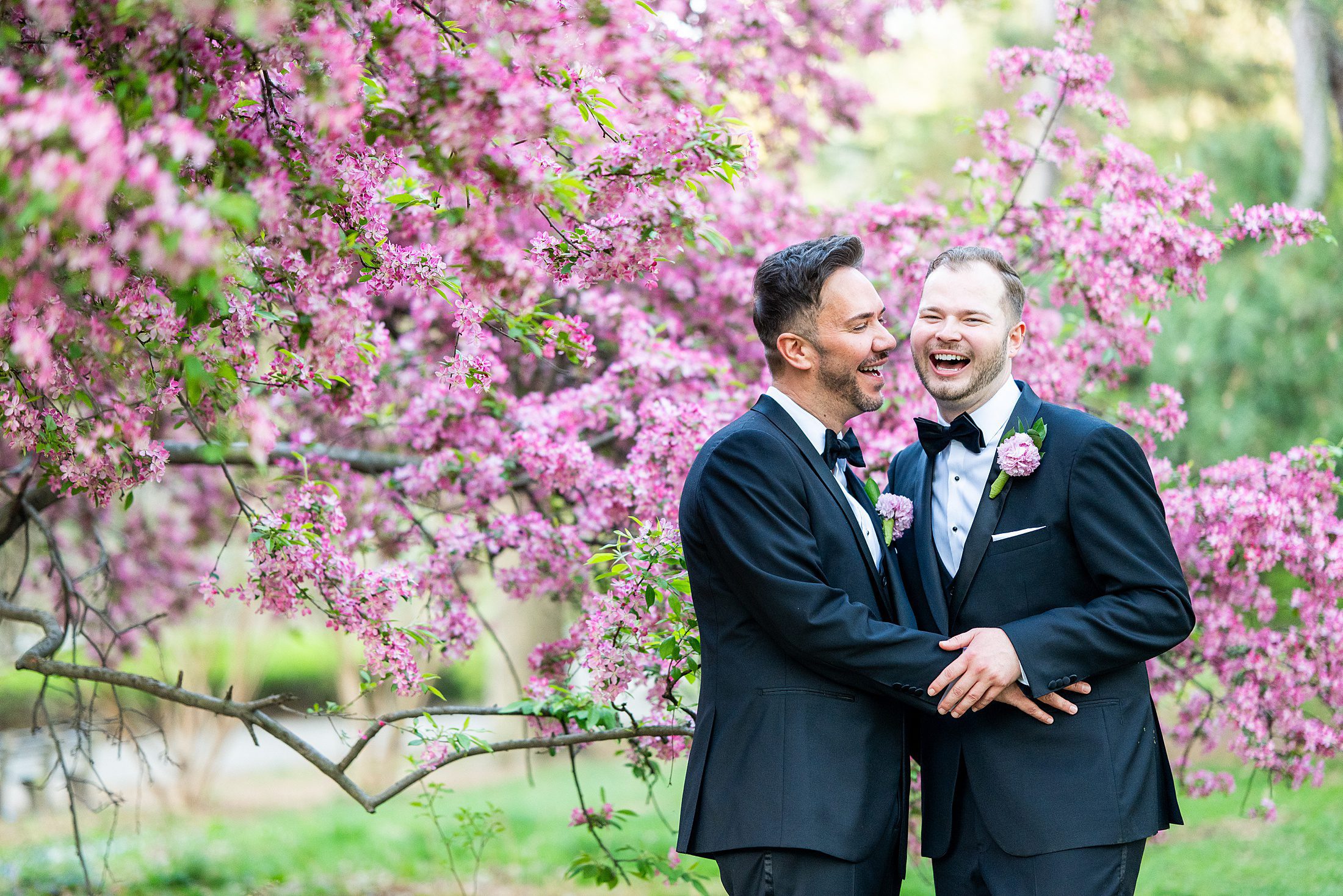 NYC Elopement photo of two grooms laughing in front of cherry blossoms in Central Park 