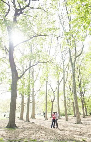 BrooklynTrees.jpg